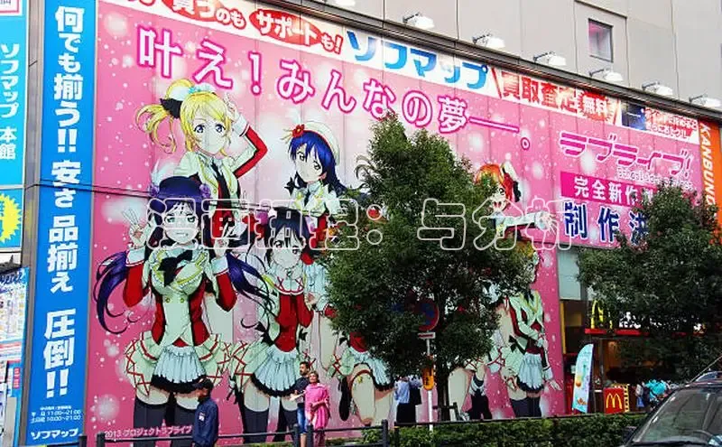 樱花专注动漫的门户网站入口