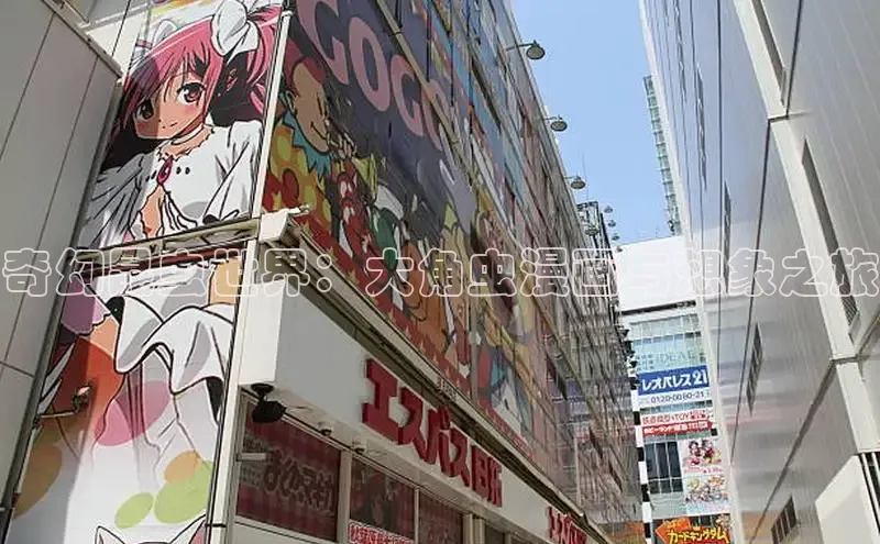 樱花动漫网页版官网入口下载