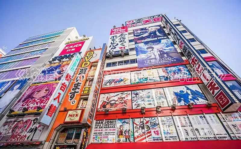 樱花动漫官方入门网站网页版